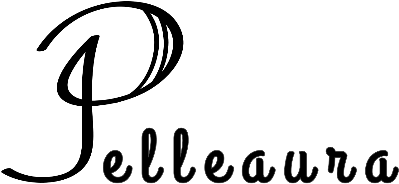 Pelleaura | Premium Quality Leather Stuff Brand USA